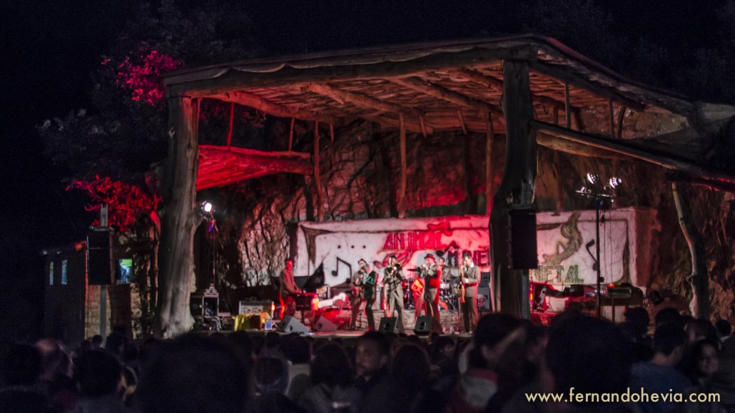 Escenario y público en un concierto de reggae